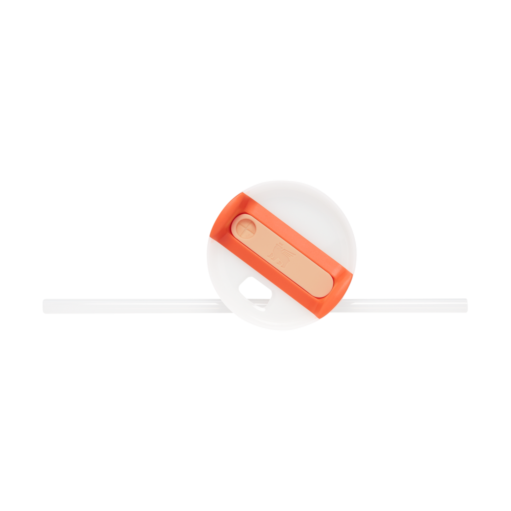The Quencher H2.0 Flowstate™ Tumbler D051L