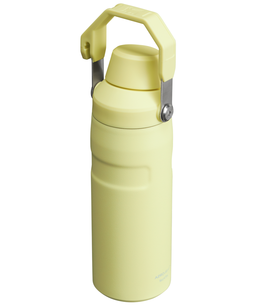 IceFlow™ Bottle with Fast Flow Lid D081V