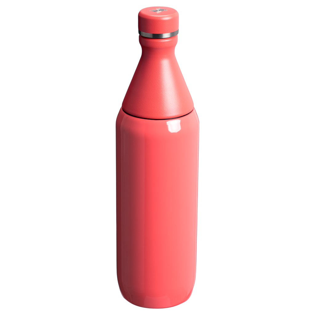 All Day Slim Bottle | Stanley Create D292A