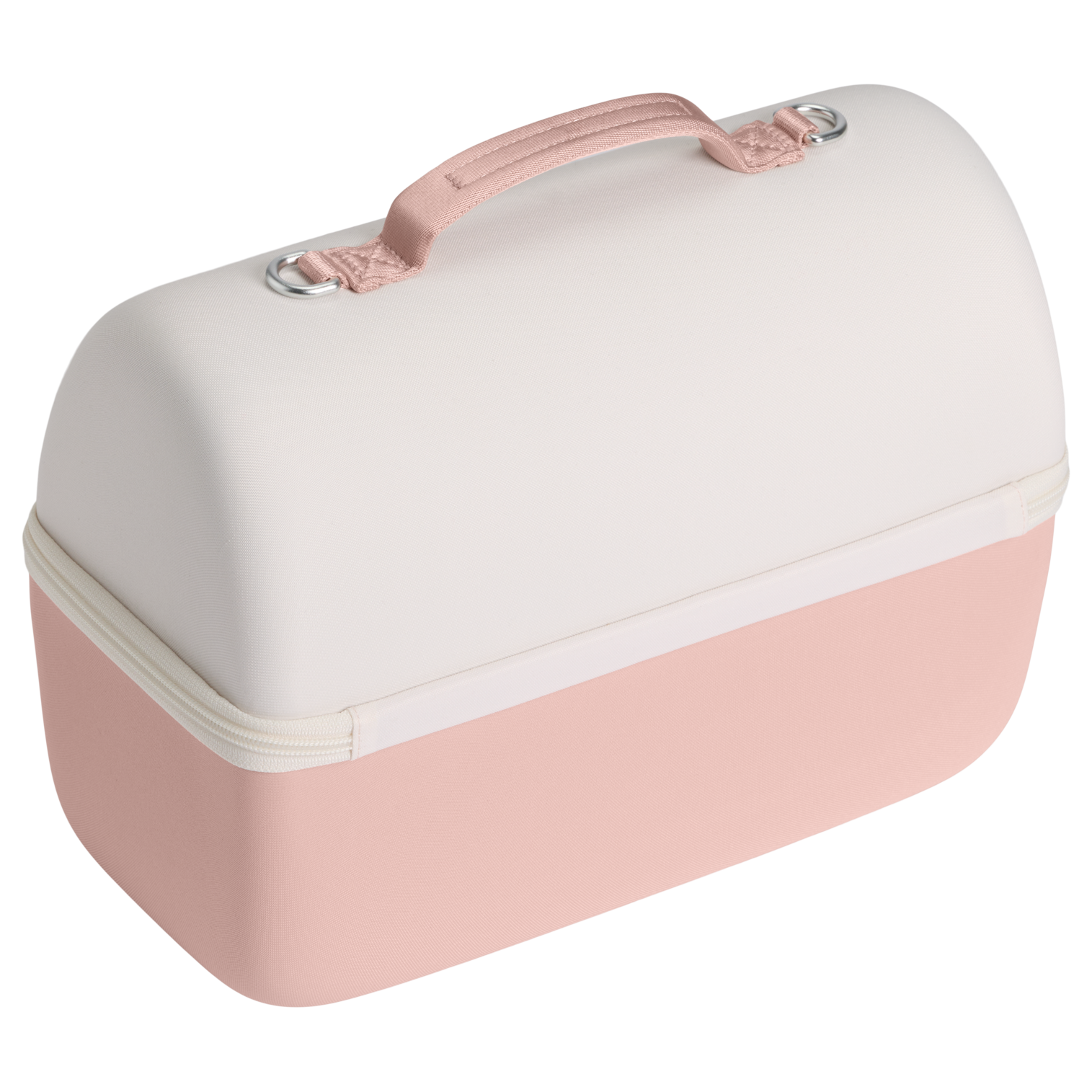 The Comeback Lunchbox Max D254H