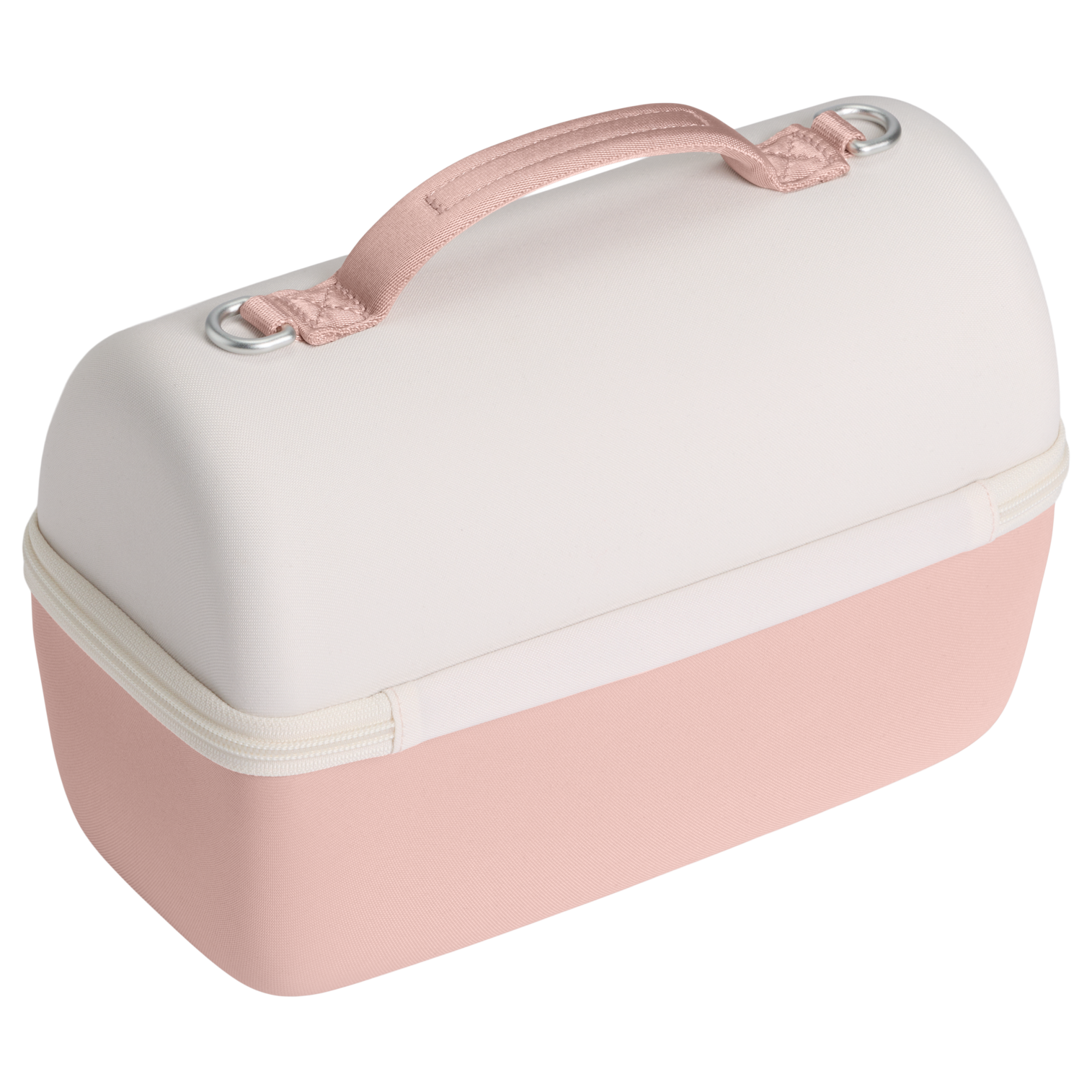 The Comeback Lunchbox D253D