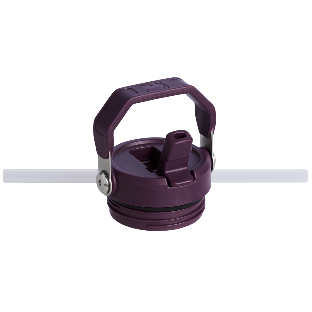 The IceFlow™ Bottle with Flip Straw Lid | Stanley Create D314K