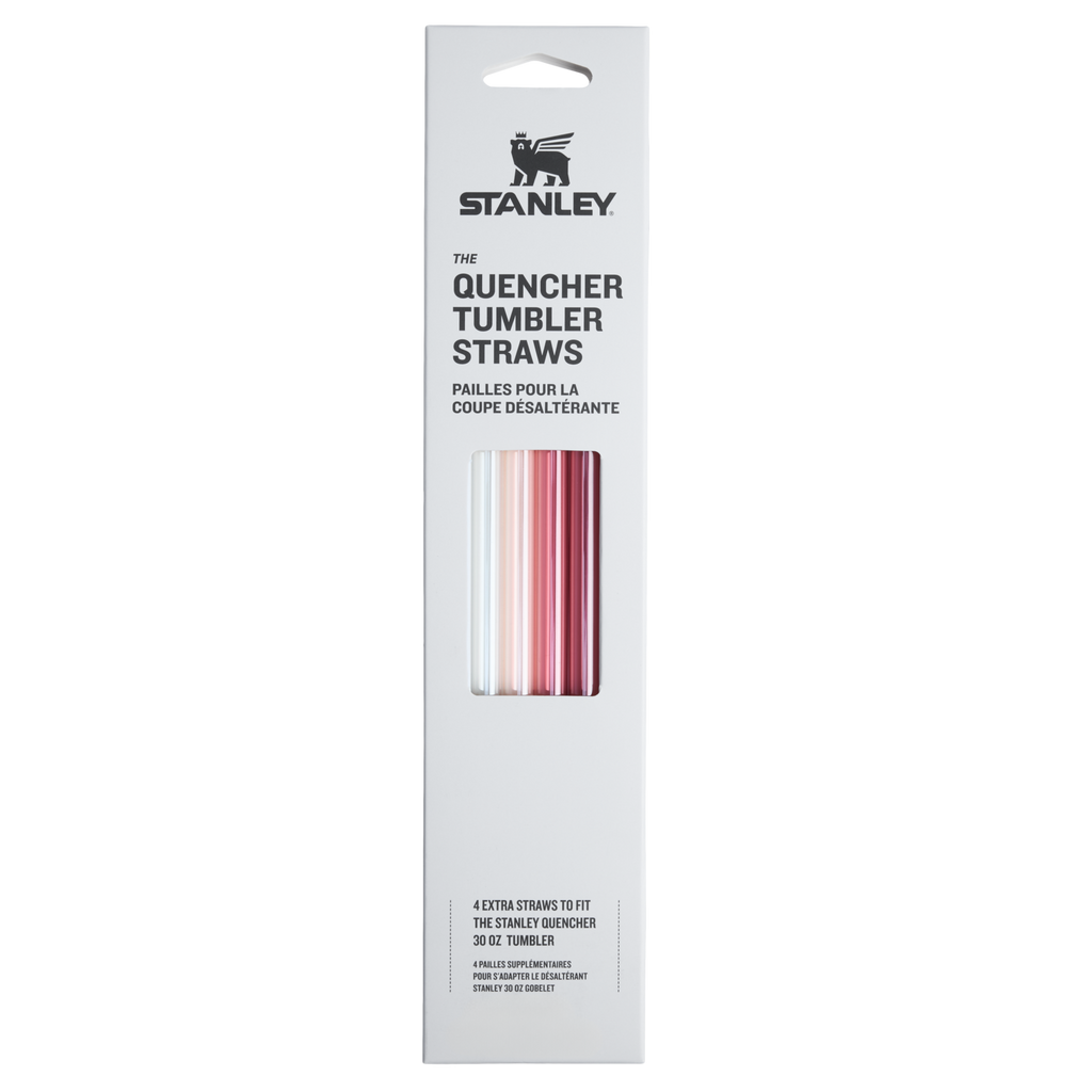 Adventure Quencher Travel Tumbler Straws | 4-Pack D009Q