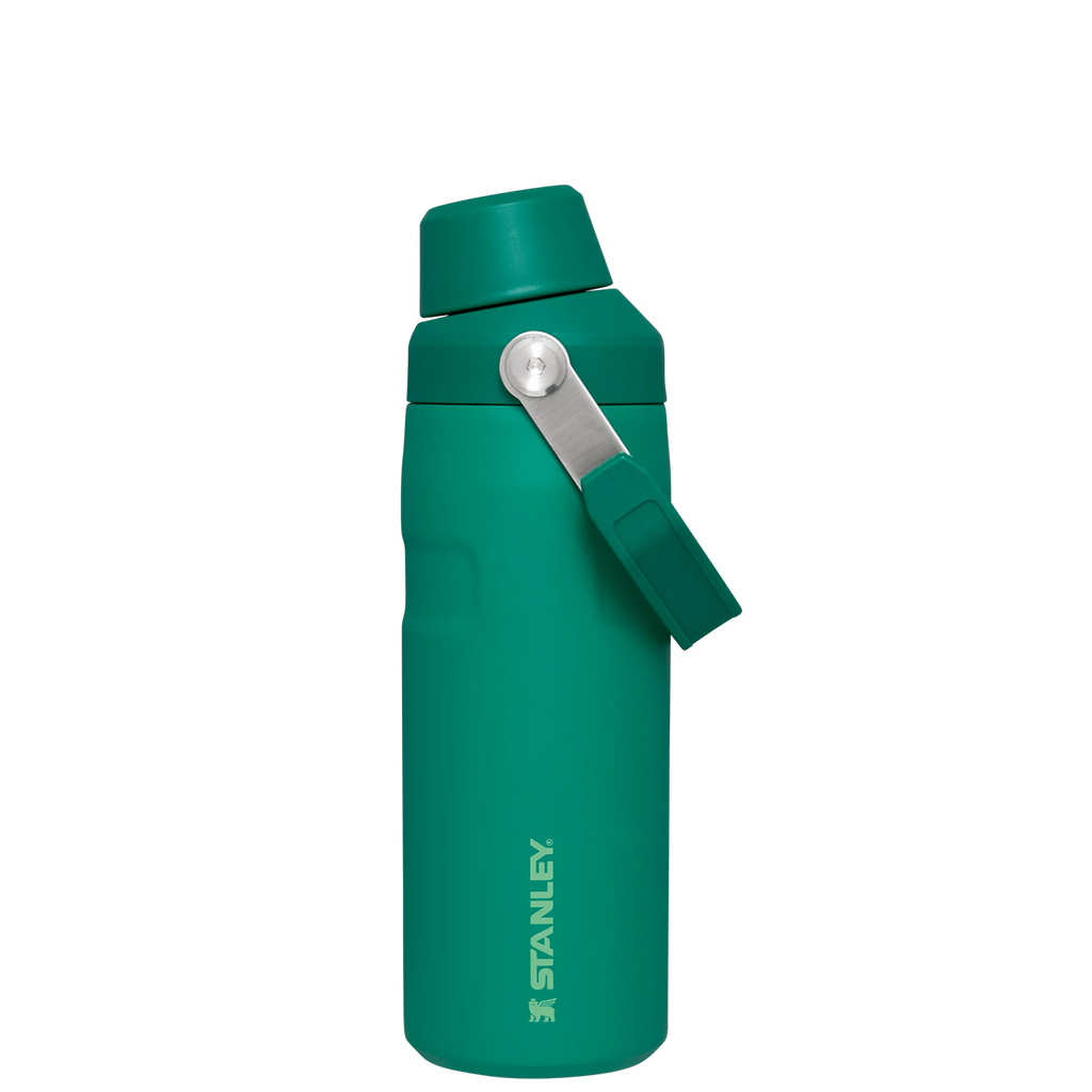 IceFlow™ Bottle with Fast Flow Lid D081V
